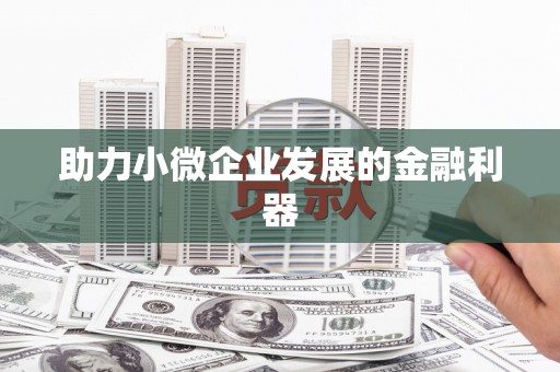 萝北助力小微企业发展的金融利器