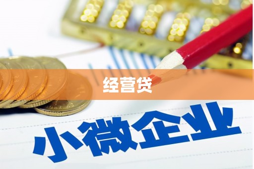 萝北经营贷