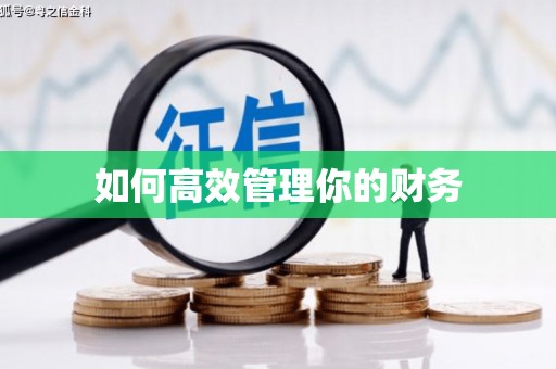 萝北如何高效管理你的财务