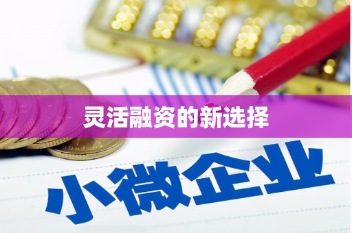 萝北灵活融资的新选择
