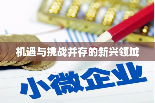 萝北机遇与挑战并存的新兴领域