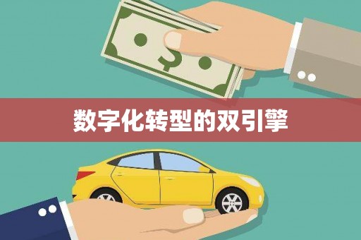 萝北数字化转型的双引擎
