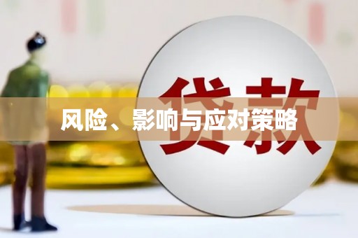 萝北风险、影响与应对策略