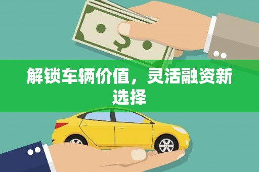 萝北解锁车辆价值，灵活融资新选择