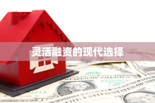 萝北灵活融资的现代选择