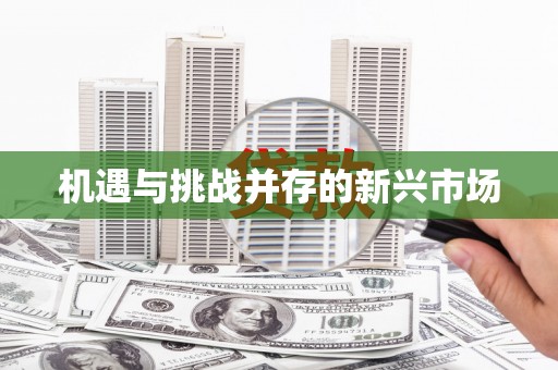 萝北机遇与挑战并存的新兴市场