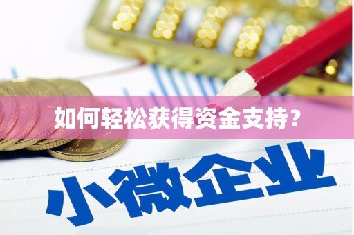 萝北如何轻松获得资金支持？