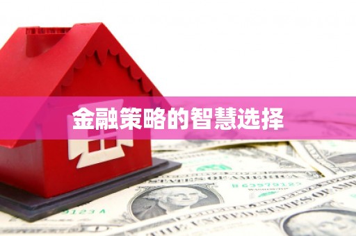 萝北金融策略的智慧选择