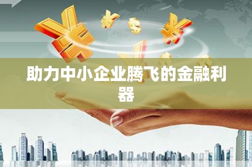 萝北助力中小企业腾飞的金融利器
