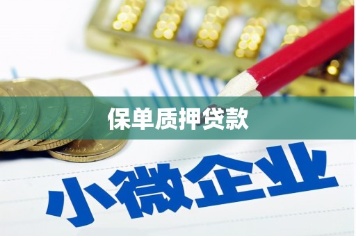 萝北保单质押贷款