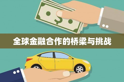 萝北全球金融合作的桥梁与挑战