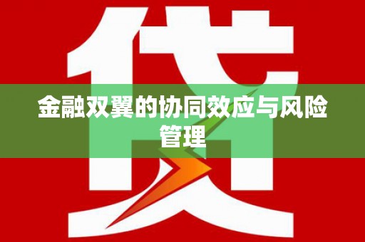 萝北金融双翼的协同效应与风险管理