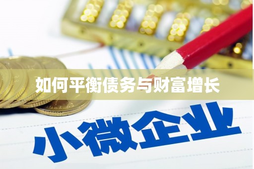 萝北如何平衡债务与财富增长