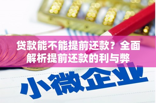 萝北贷款能不能提前还款？全面解析提前还款的利与弊