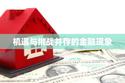 萝北机遇与挑战并存的金融现象