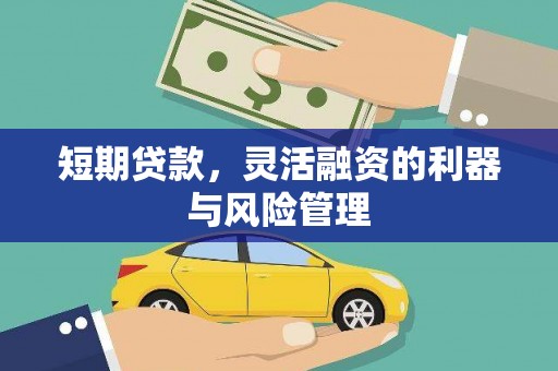 萝北短期贷款，灵活融资的利器与风险管理