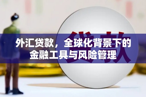 萝北外汇贷款，全球化背景下的金融工具与风险管理