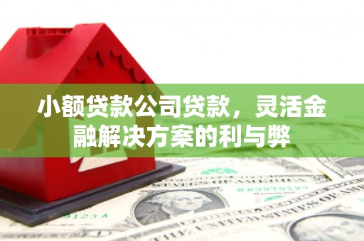 萝北小额贷款公司贷款，灵活金融解决方案的利与弊