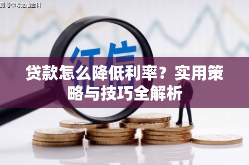 萝北贷款怎么降低利率？实用策略与技巧全解析